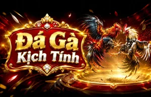 Đá Gà nmgstc